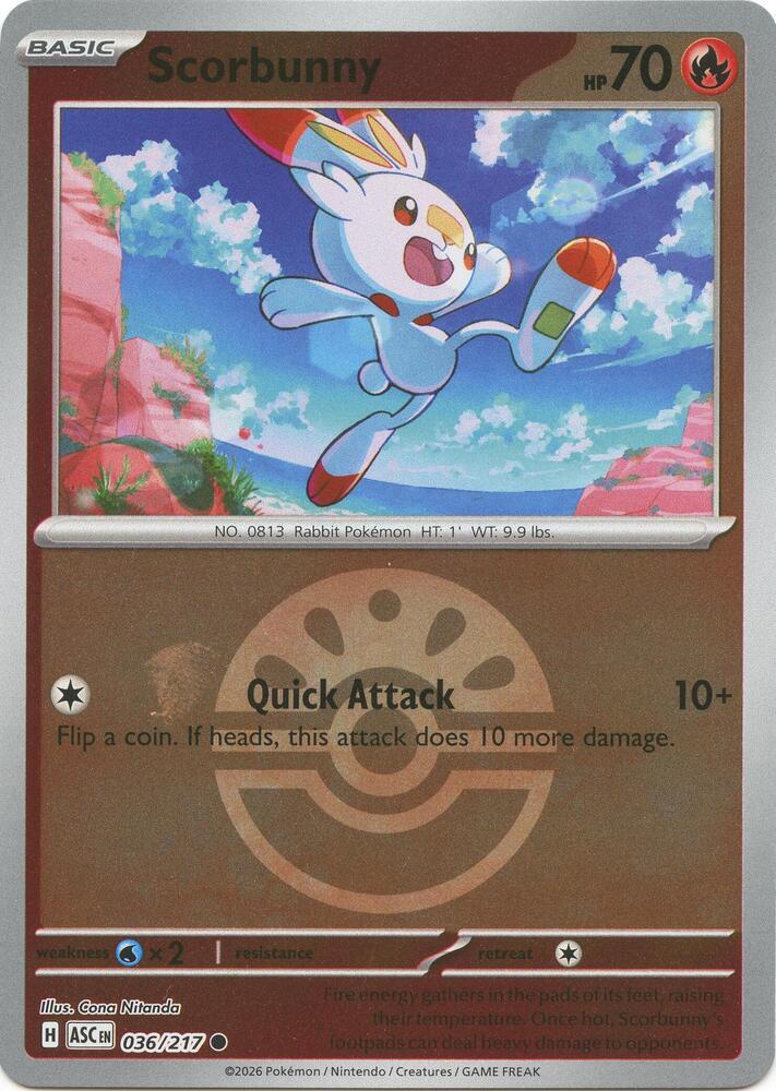 Ascended Heroes Scorbunny [Ball] Pokémon card